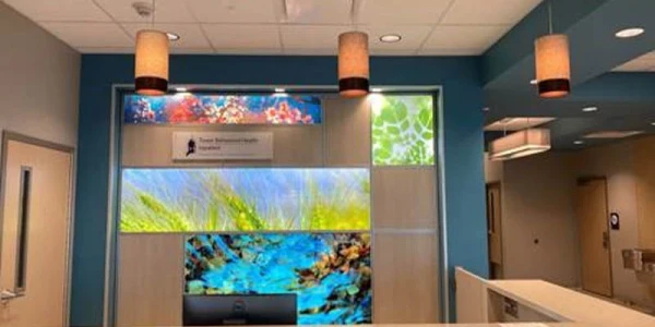 Tower Behavioral Health